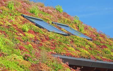Lothbeg living roof systems