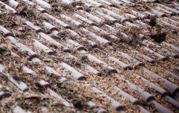 Lothbeg roof cleaning companies