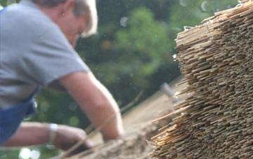 professional Lothbeg thatchers