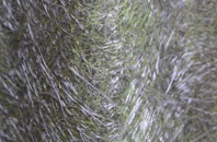 Lothbeg fibreglass roof work